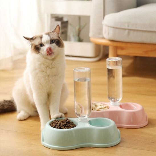 gamelle_automatique_chat_double_bleue et rose