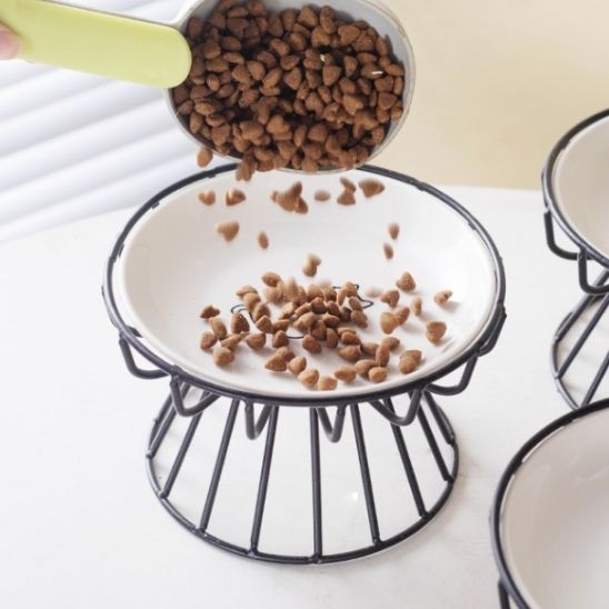 gamelle chat suirélevée croquettes