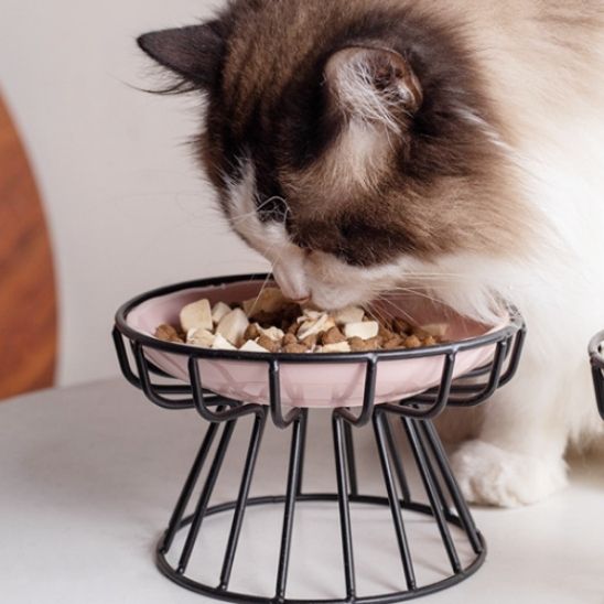 gamelle_chat_surelevee_mange
