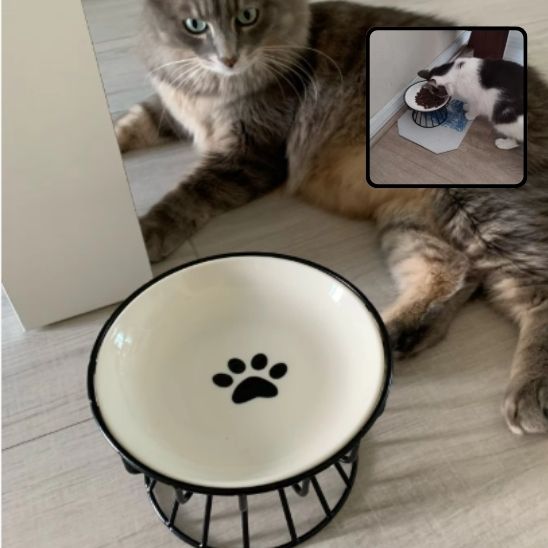 gamelle chat surélevée