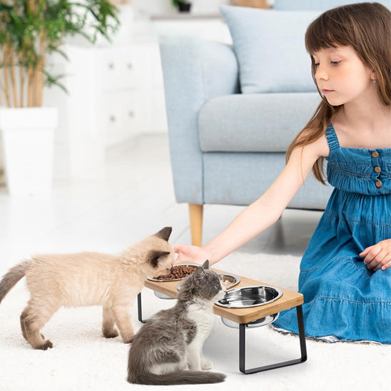 gamelle_chat_surelevee_triple avec son chaton