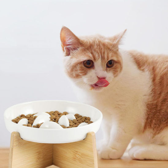 gamelles_anti_glouton_chat_boselle_ chat sante
