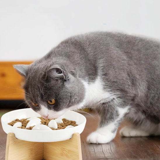 gamelles_anti_glouton_chat_boselle_gourmand