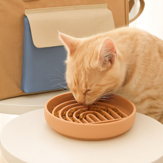 gamelles_anti_glouton_chat_style rose