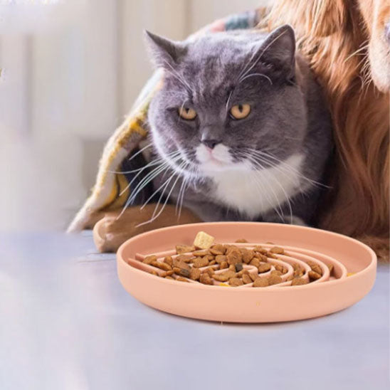 gamelles_anti_glouton_chat_style_rose chat