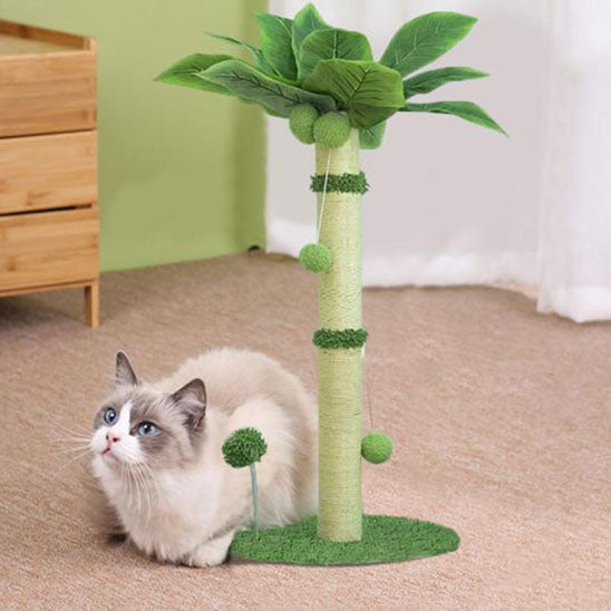 griffoir-chat-palmier_chat blanc