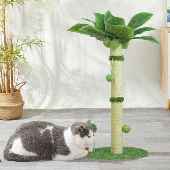 griffoir-chat-palmier_detente