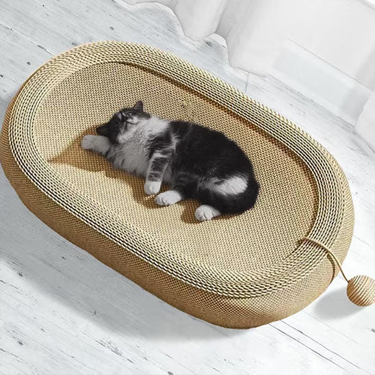 Griffoir | Coussin