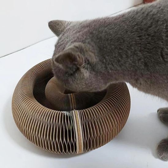 griffoir a chat champignon chat noir