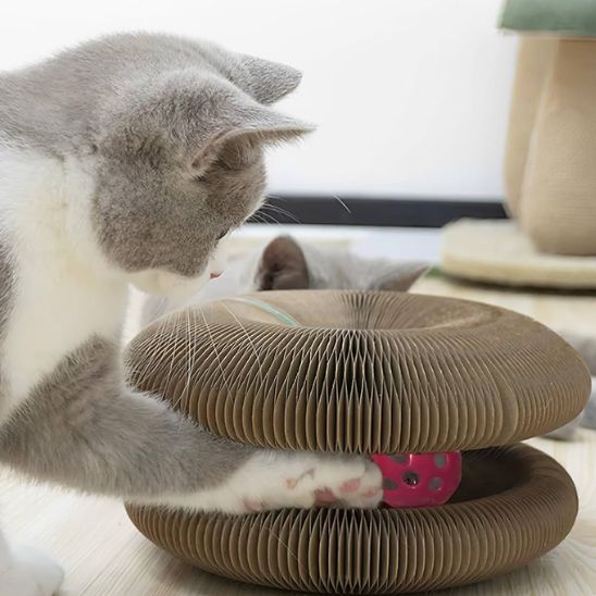 griffoir Ă chat en carton
