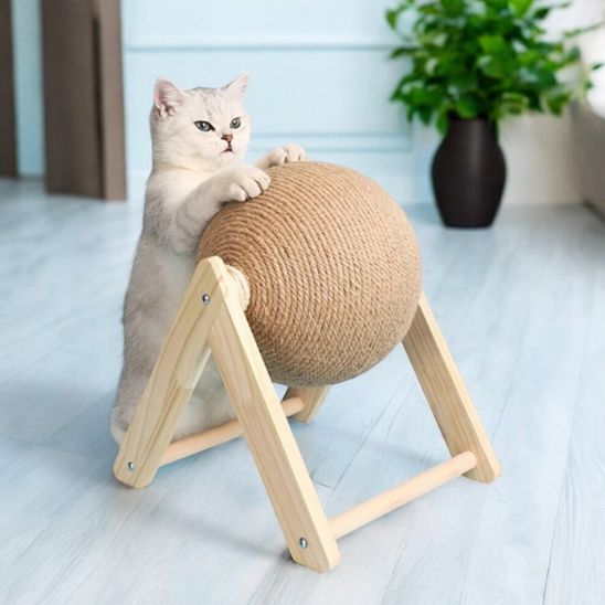 griffoir_a_chat_gratbaballe chat debout