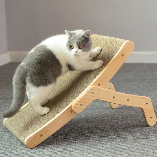 griffoir_a_chat_grattoir_sur le griffoir