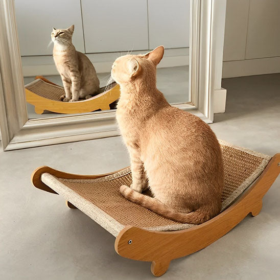 griffoir_chat_lit_miroir regard