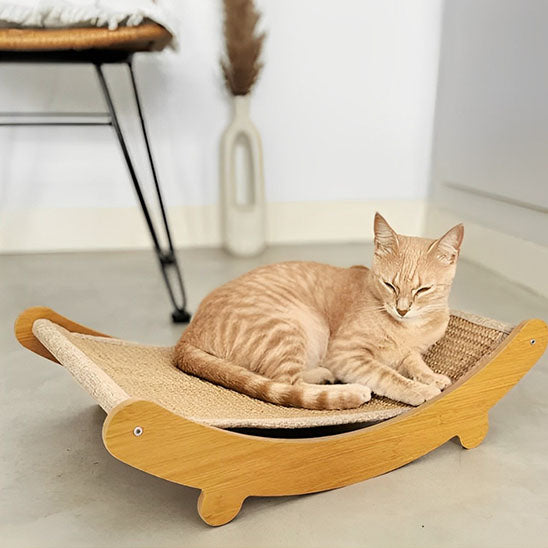 griffoir_chat_lit_roux chat