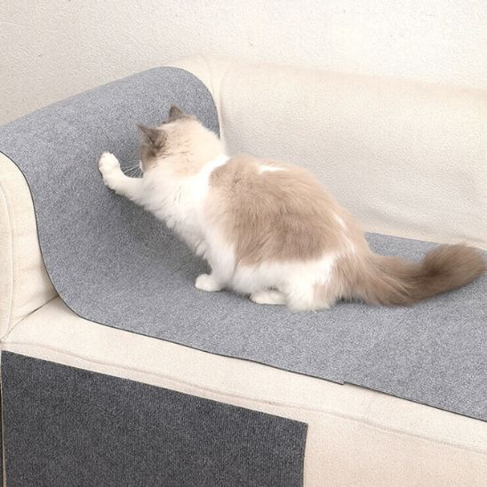 Griffoir chat | Protect'