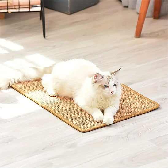 Griffoir chat | Tapis