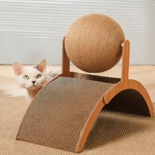 griffoir pour chat caché