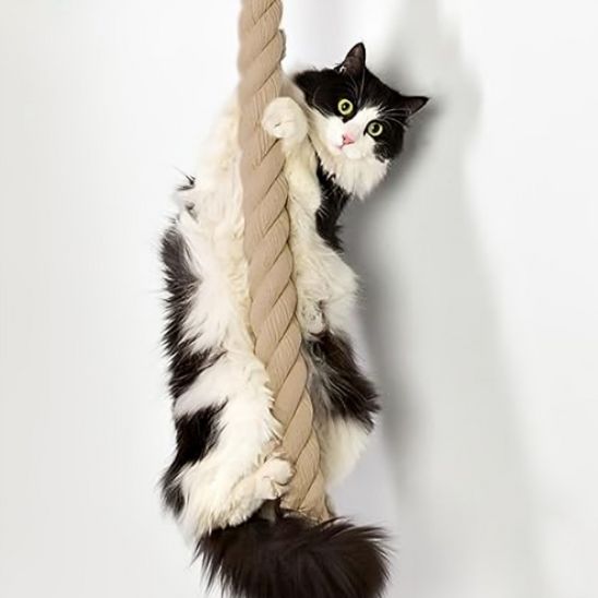 griffoir pour chat | Escalad'
