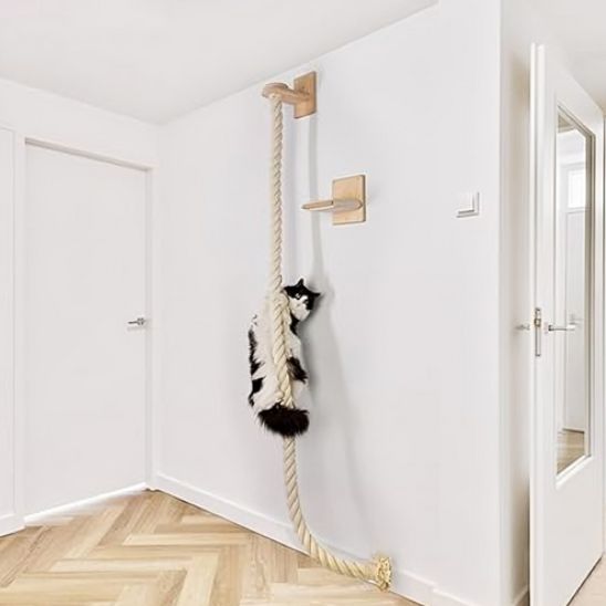 griffoir pour chat | Escalad'