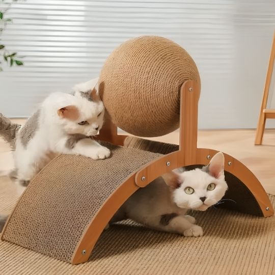 griffoir pour chat joue