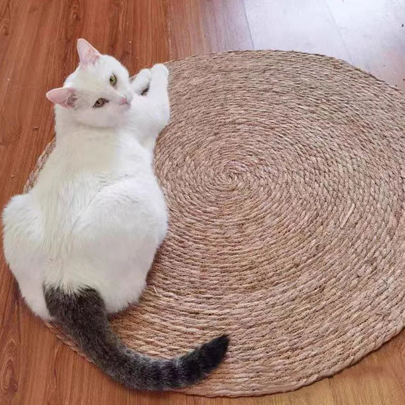 griffoir_pour_chat_paille_blanc beau