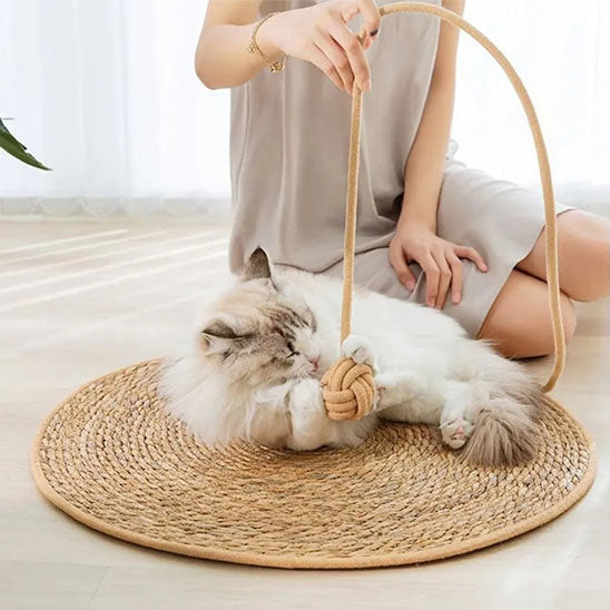 griffoir_pour_chat_paille_joue avec maitre
