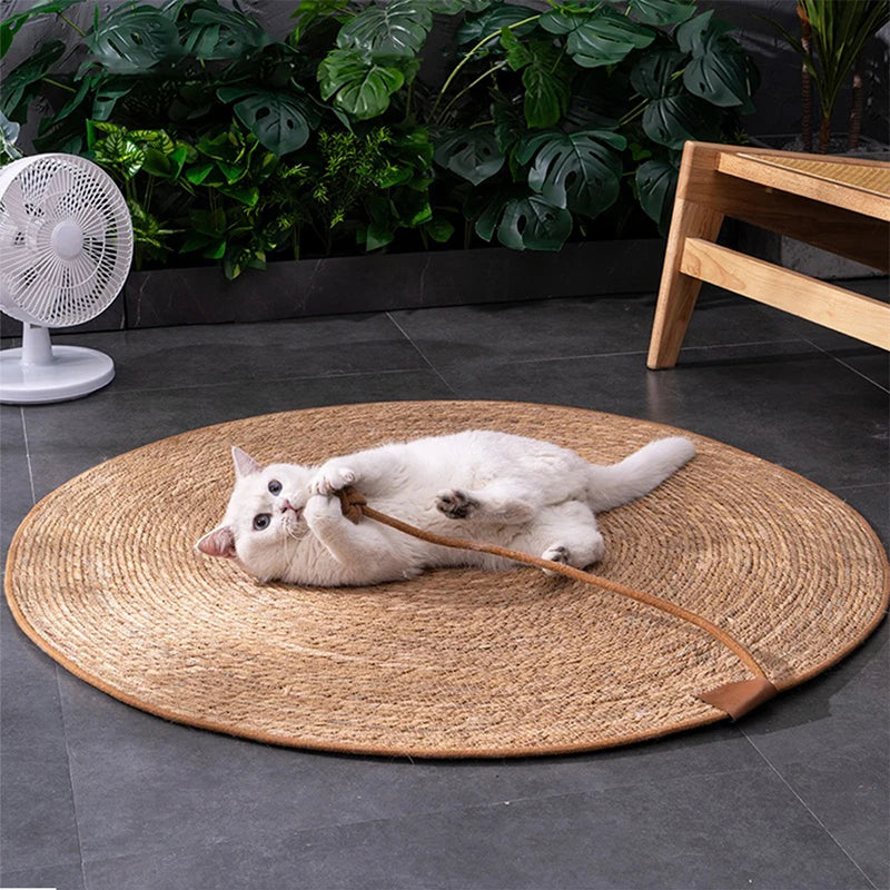 griffoir_pour_chat_paille_joue seul