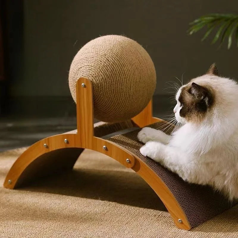 griffoir pour chat surpris