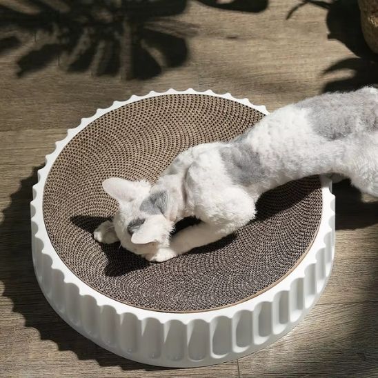 griffoir ronrond chat fait ses griffes