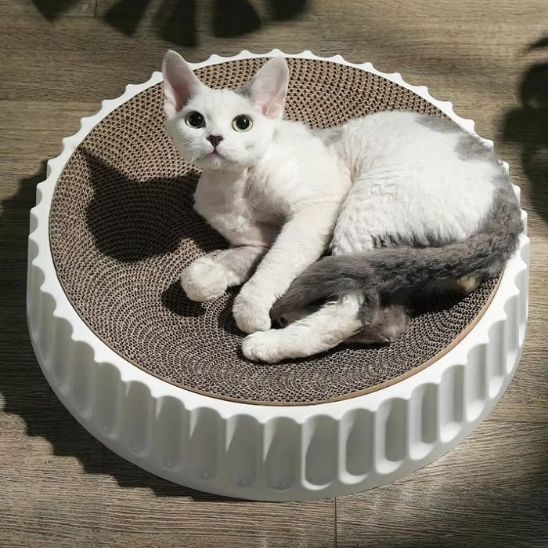 griffoir ronrond socle blanc