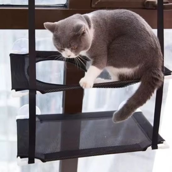 hamac chat fenetre - un chat a cote du trou du hamac