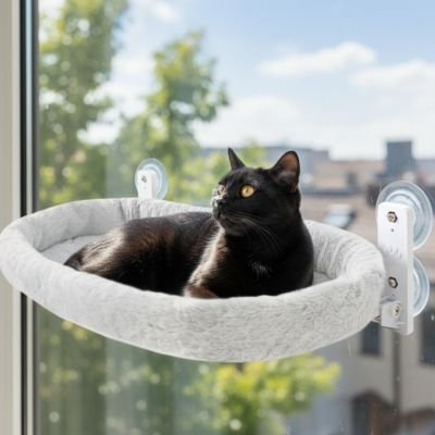 Hamac pour chat febetre - chat noir detendu