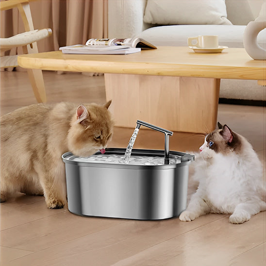 Fontaine A Eau Chat | En Acier Inoxydable