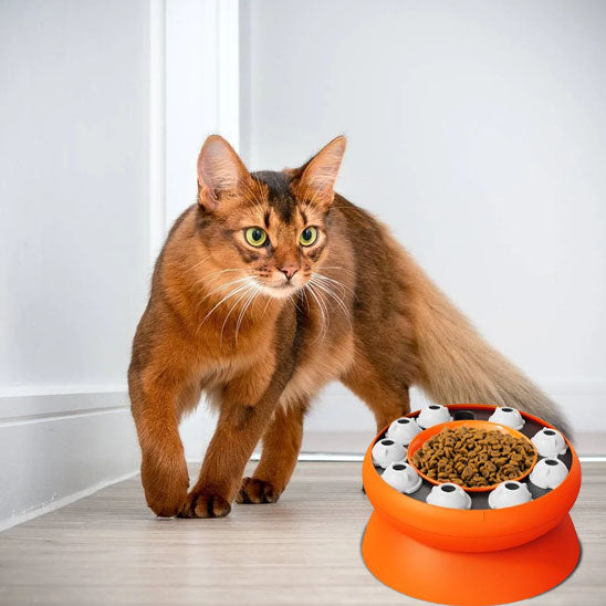 distributeur de croquette chat | interactive