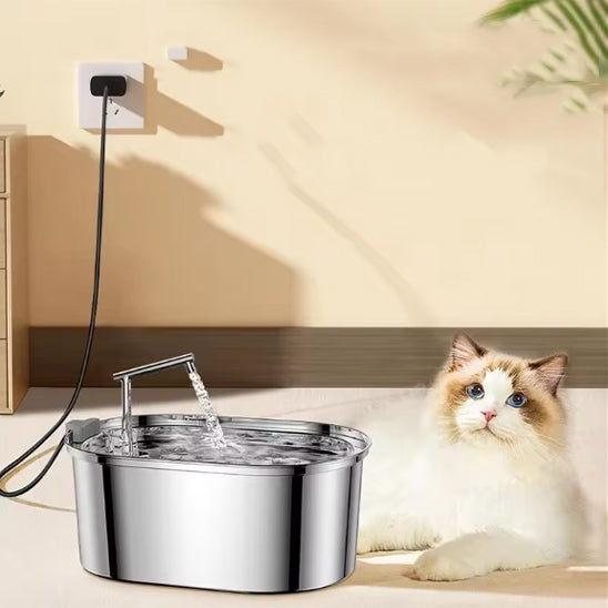 Fontaine A Eau Chat | En Acier Inoxydable