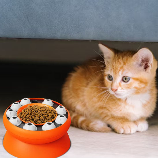distributeur de croquette chat | interactive