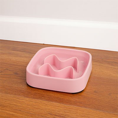 Gamelle anti glouton Chaton | SlowPaws