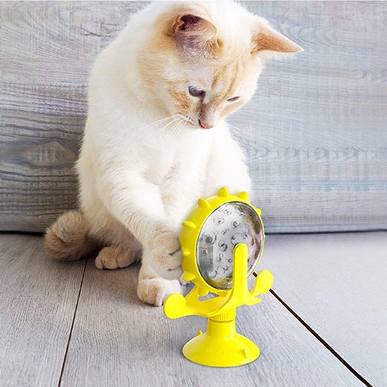 Distributeur de croquettes pour chat | Roue
