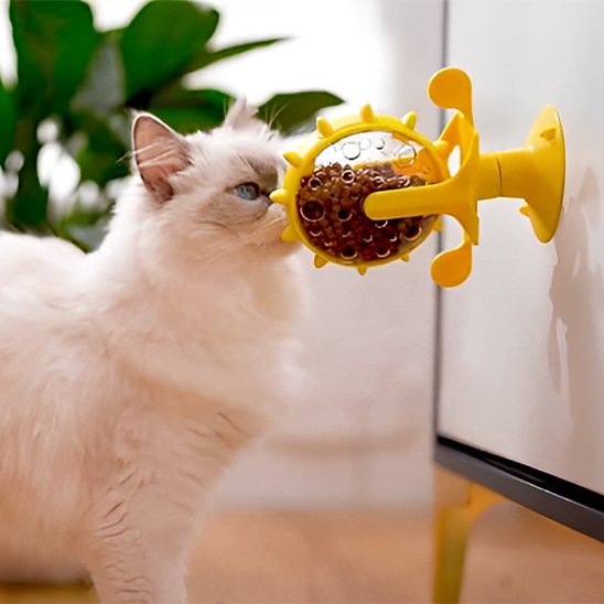 Distributeur de croquettes pour chat | Roue