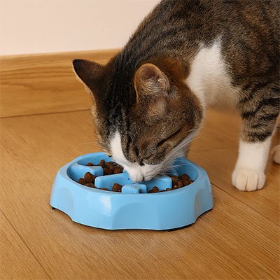 Gamelle anti glouton Chaton | SlowPaws