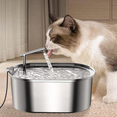 Fontaine Chat Inox | Le Guide Complet