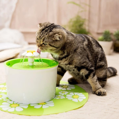 Fontaine A eau chat - Découvrez les meilleures fontaines pour votre félins