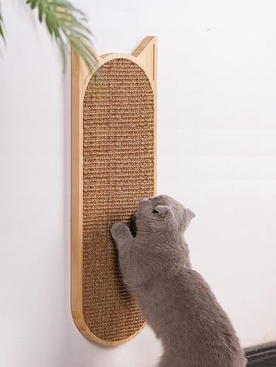 Griffoir chat