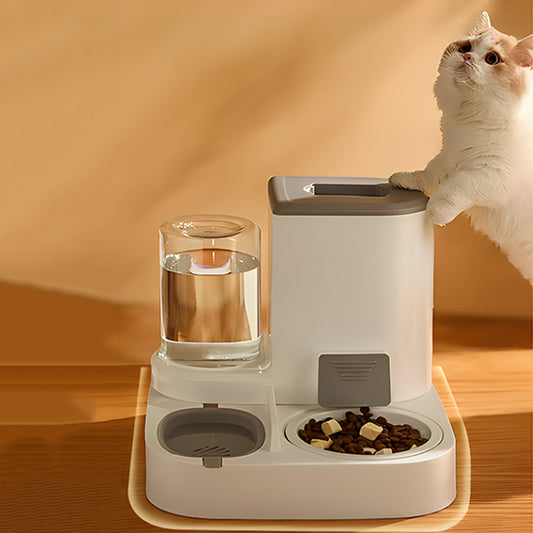 Distributeur_de_croquettes_2_en_1 chat sur le distributeur