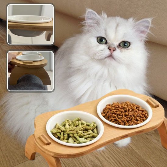 Gamelle chat