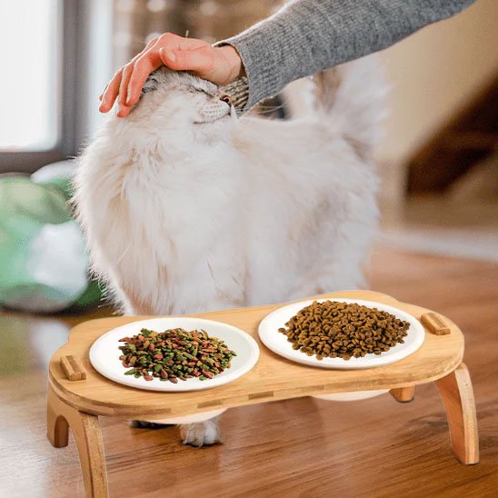 Gamelle chat