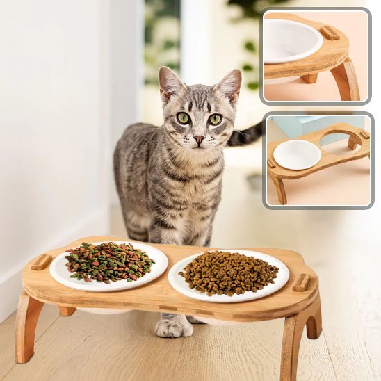 Gamelle chat