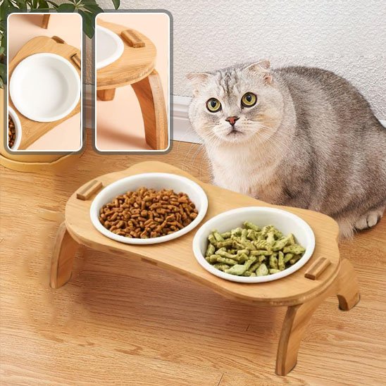 Gamelle chat