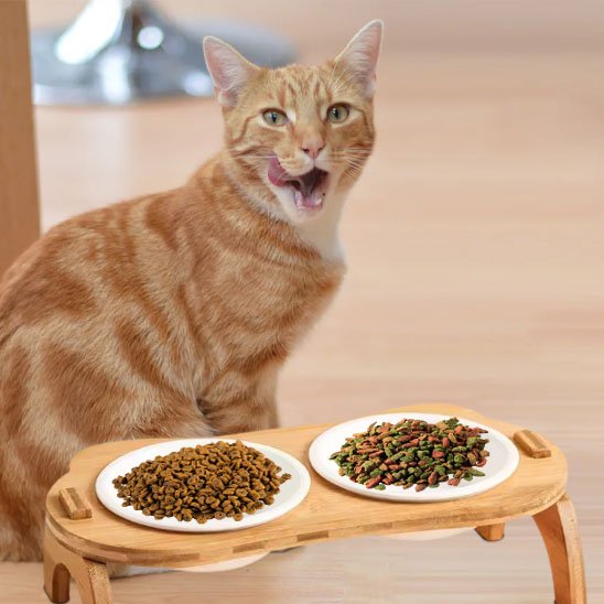 Gamelle chat