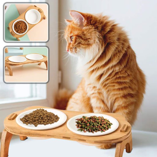 Gamelle chat